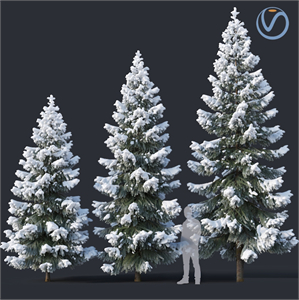 modern snow pine tree 3d model